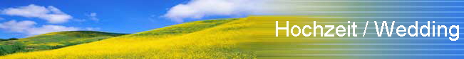 Hochzeit / Wedding